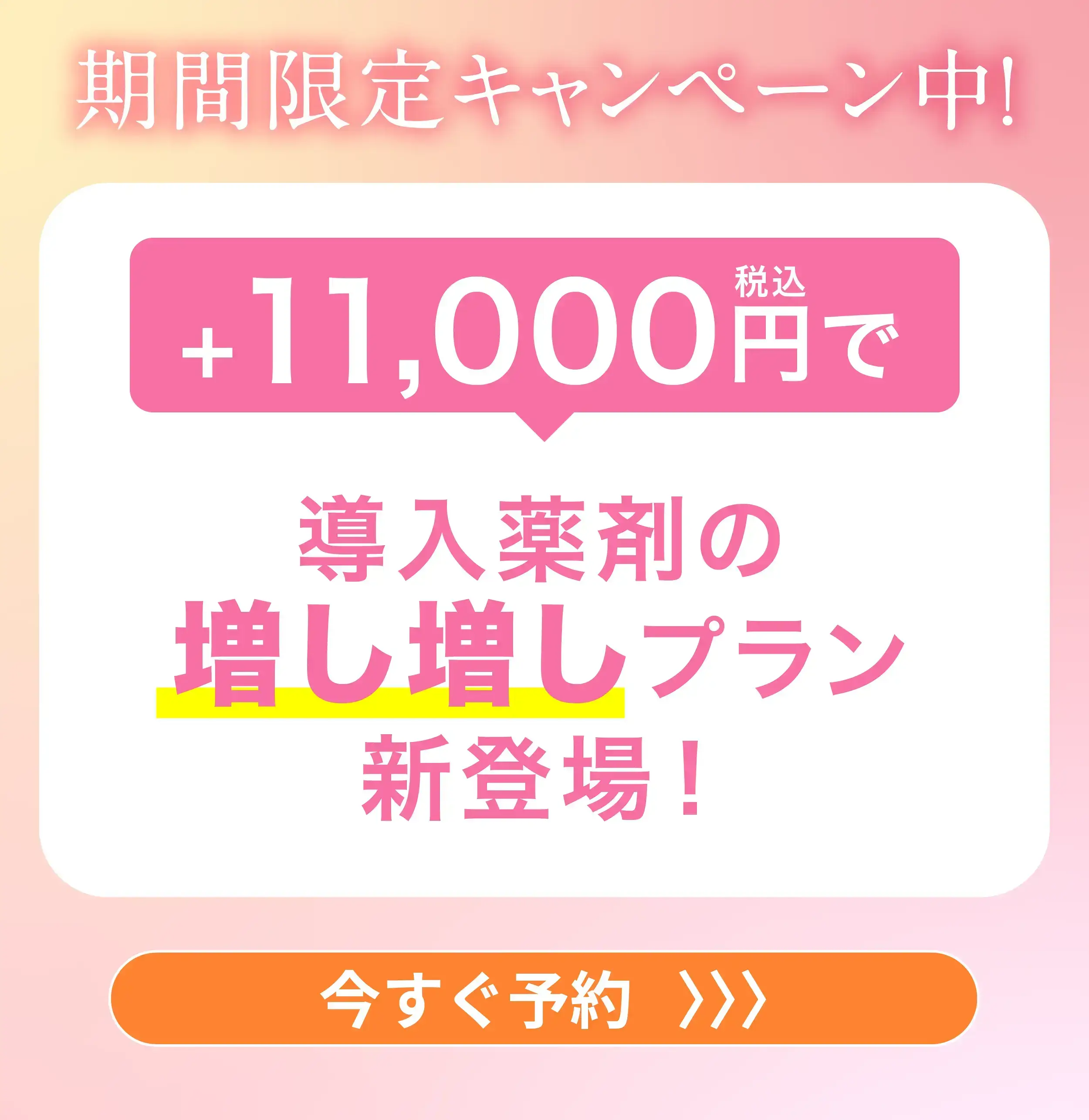 ５名様限定価格55000円